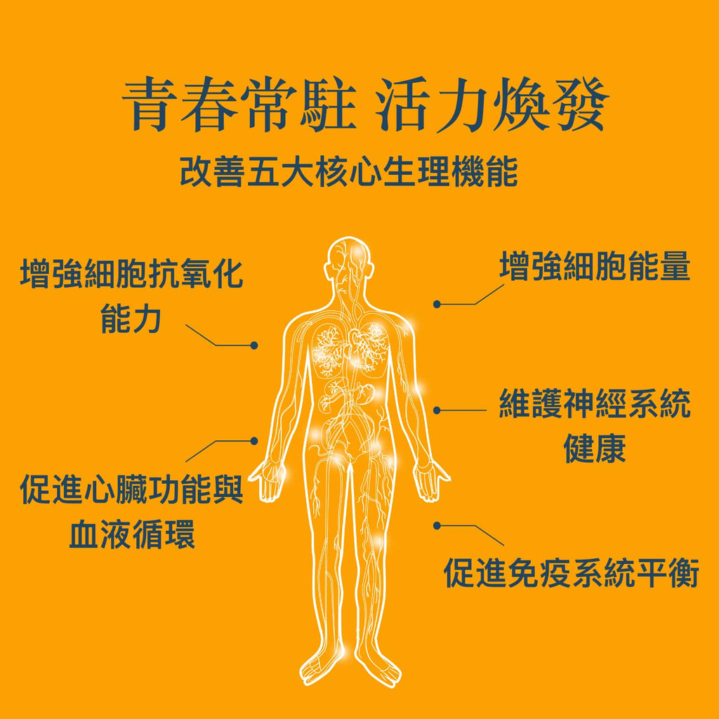 NAD+ 最佳活力 抗衰老保健品