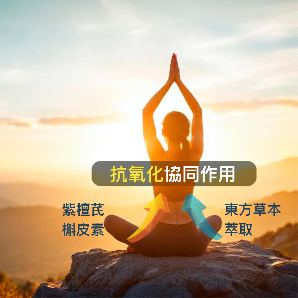 NAD+ 最佳活力 抗衰老保健品