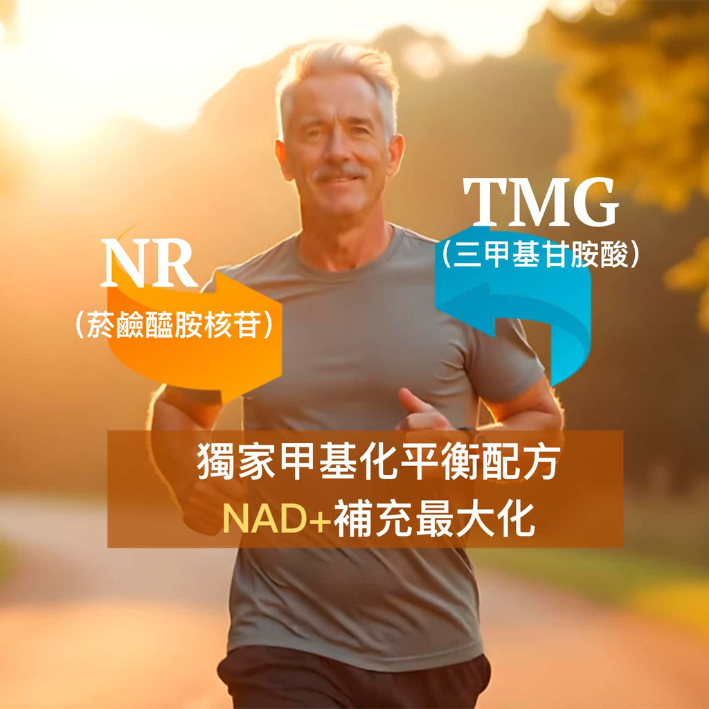 NAD+ 最佳活力 抗衰老保健品