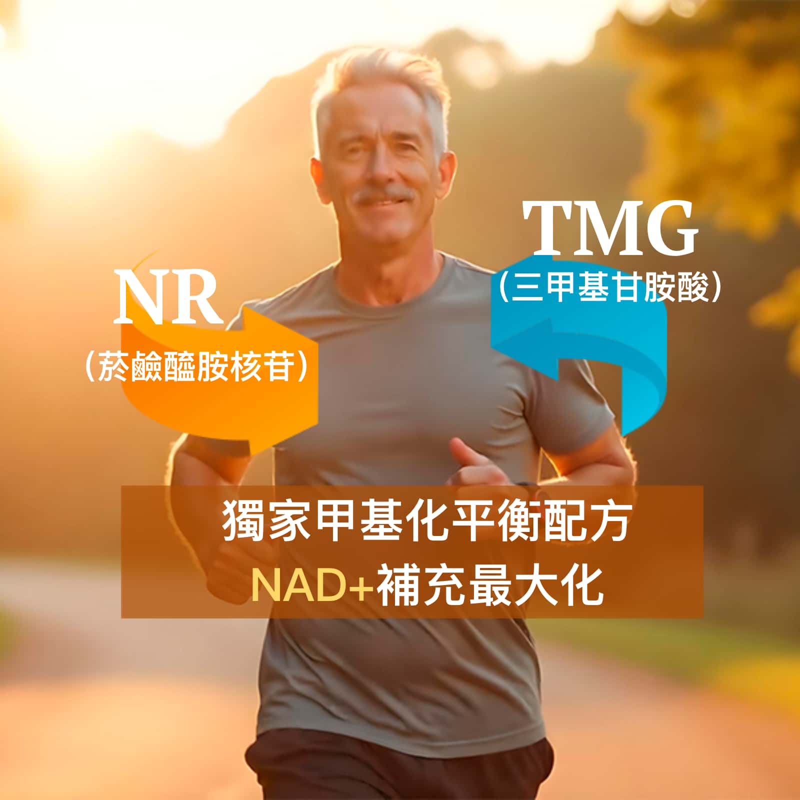 NAD+ 最佳活力 抗衰老保健品