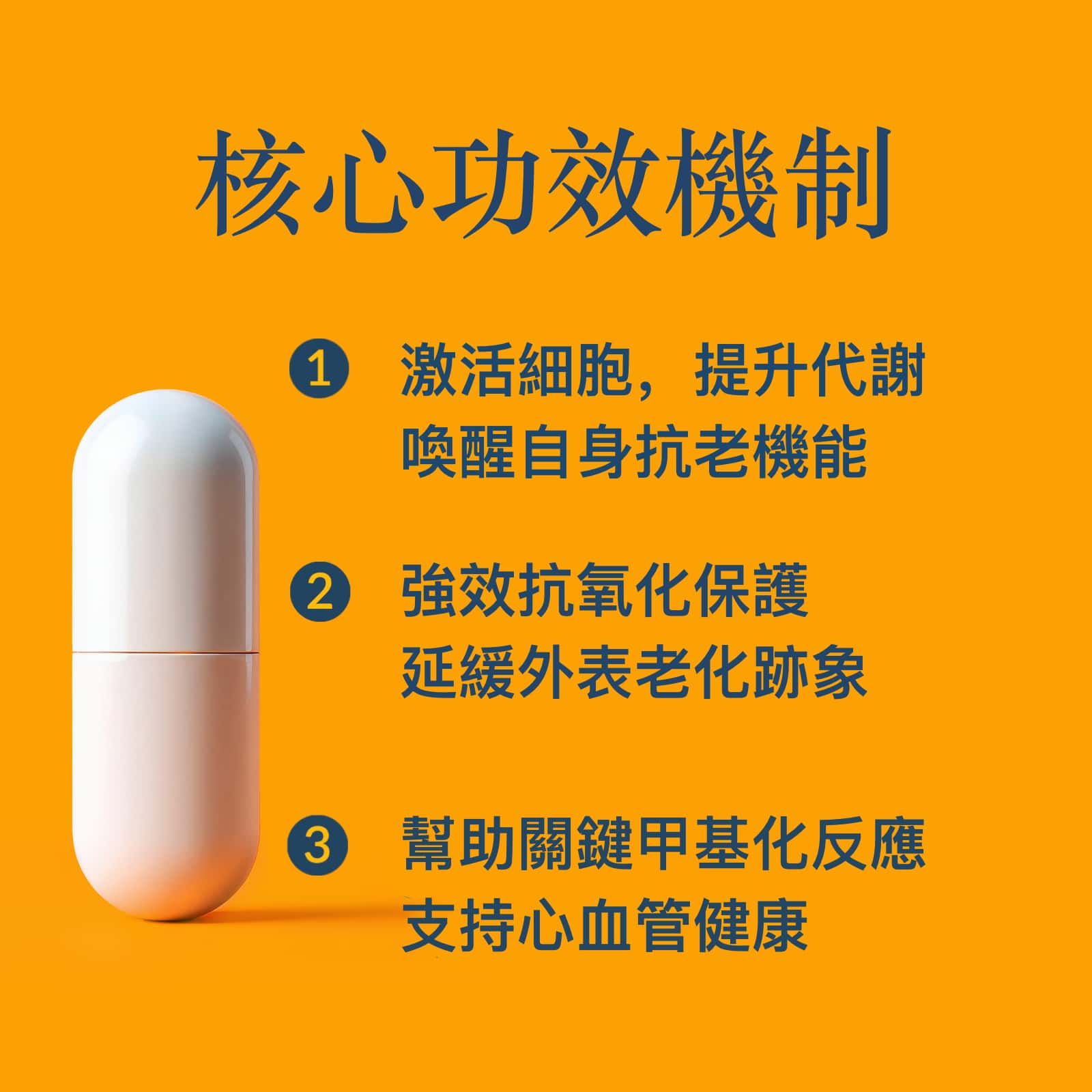 NAD+ 最佳活力 抗衰老保健品