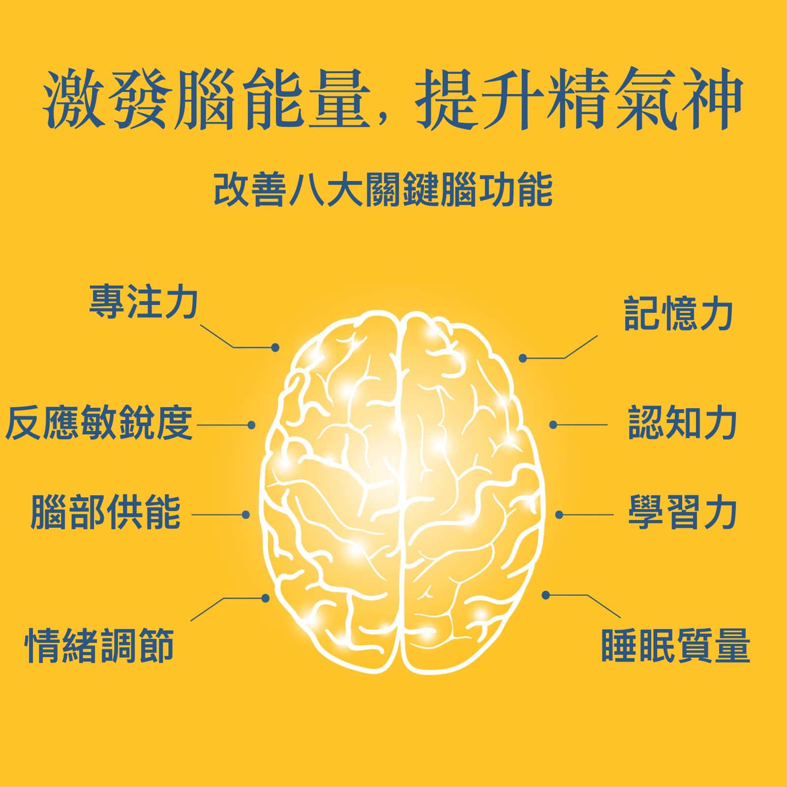 Brain Optimal最优大脑 健脑保健品