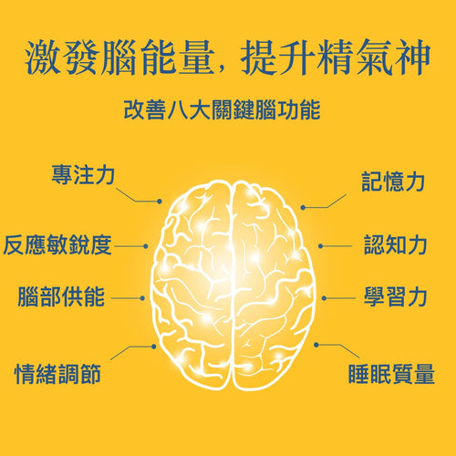 Brain Optimal最优大脑 健脑保健品