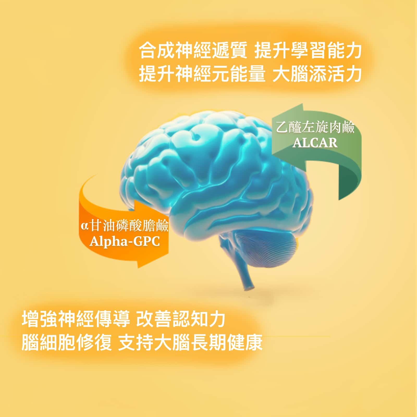 Brain Optimal最优大脑 健脑保健品